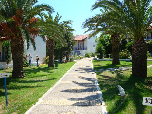 Terra Mare Agios Dimitrios (Kefalonia)